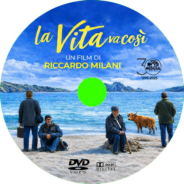 La vita va così (2025) CD.jpg