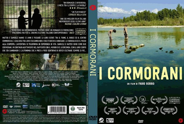 I cormorani (2016).jpg