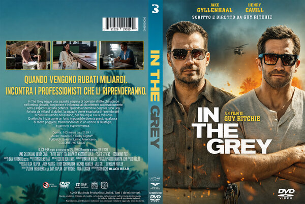 In the grey (2026).jpg