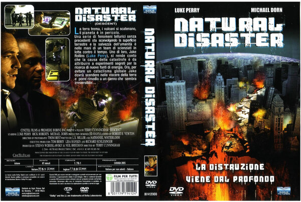 Natural Disaster (2005).jpg